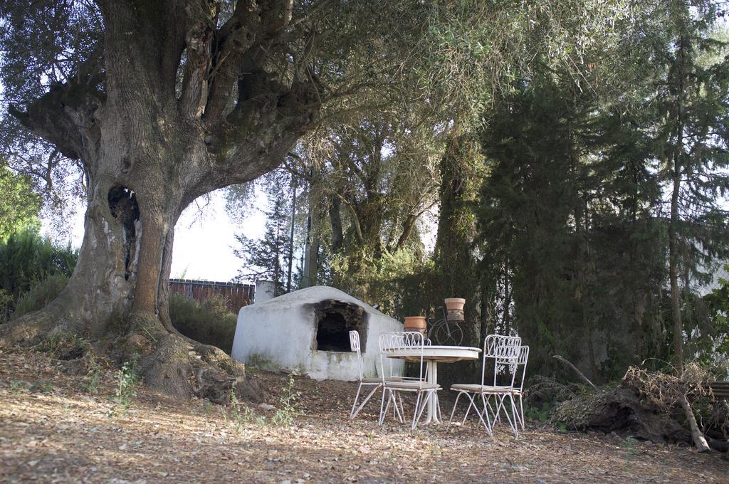 Villas De La Ermita Vejer de la Frontera Extérieur photo